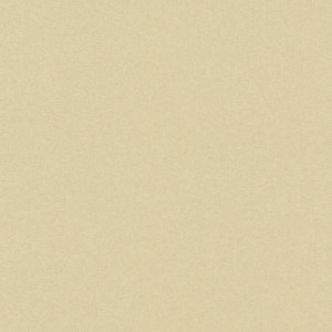 Exclusive 009-EXC Página 9 Papel pintado